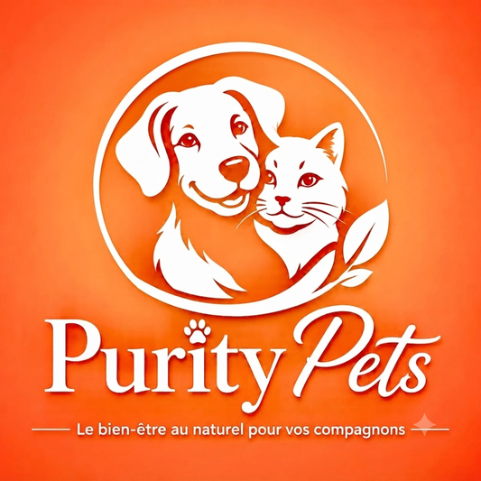 Top 5 Accessoires Indispensables pour Votre Chat en 2026