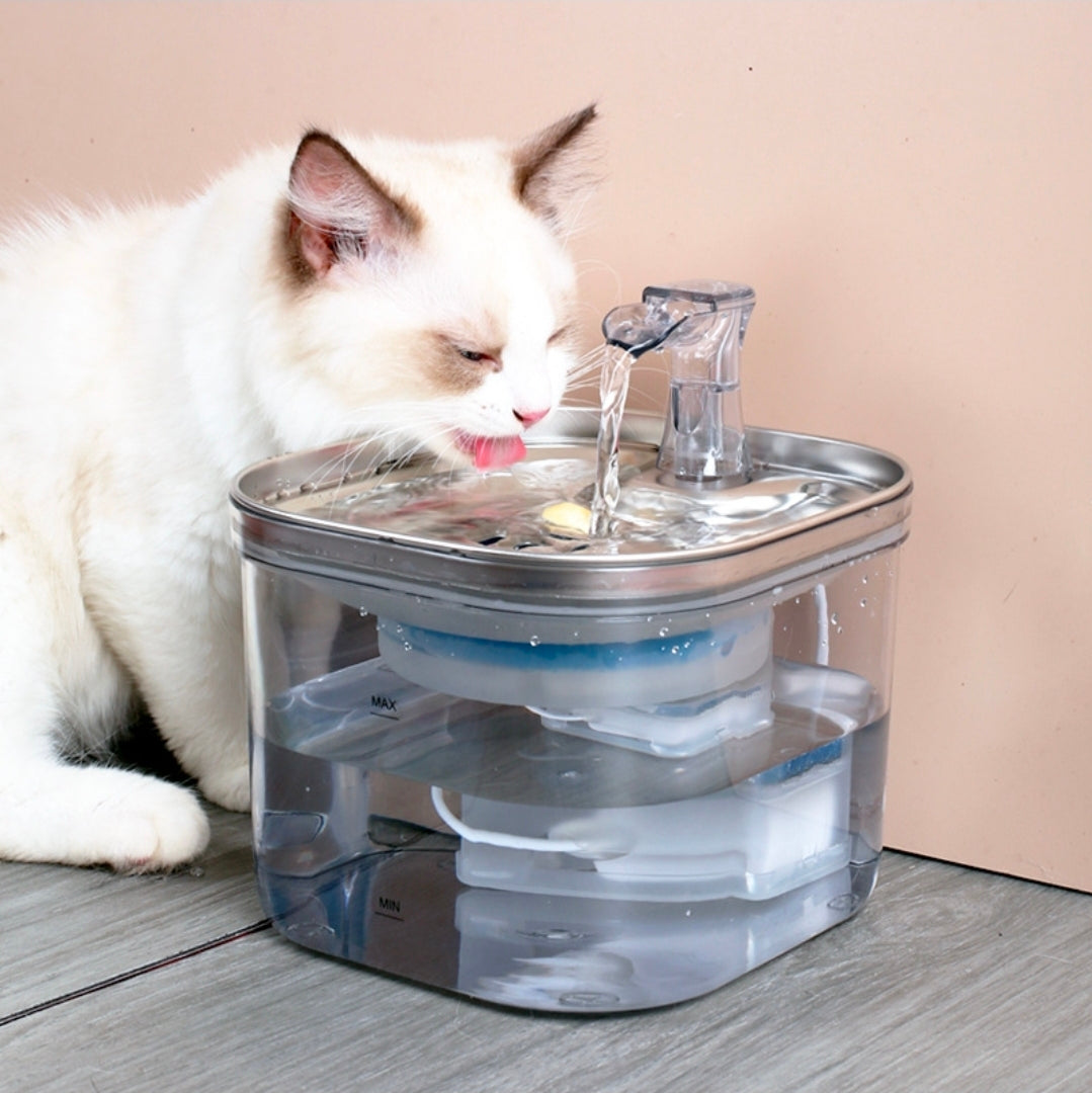 Pourquoi Votre Chat Ne Boit Pas Assez d'Eau — Et Comment la Fontaine à Eau Peut Tout Changer