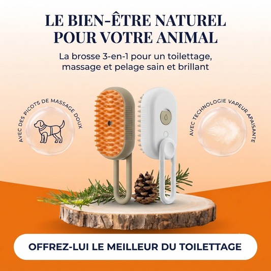 Brosse de Toilettage à Vapeur 3-en-1 pour Chat et Chien