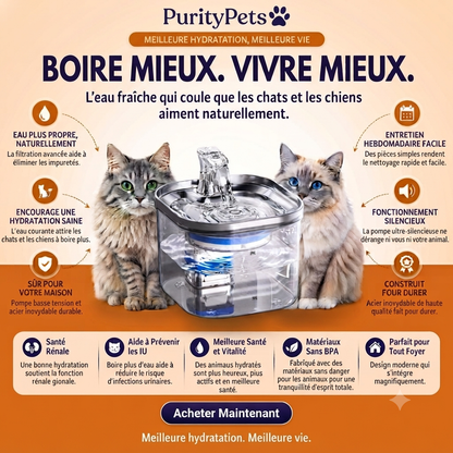 Fontaine à Eau Automatique pour Chat et Chien