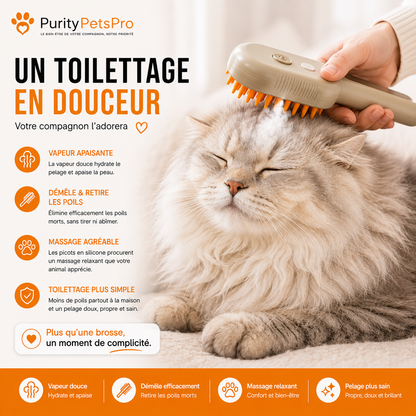 3-in-1 Dampf-Pflegebürste für Katzen und Hunde