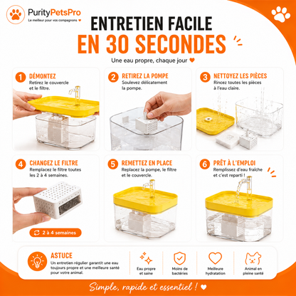 Fontaine à Eau Automatique pour Chats & Chiens | Ultra Silencieuse – Filtration Continue – 2L