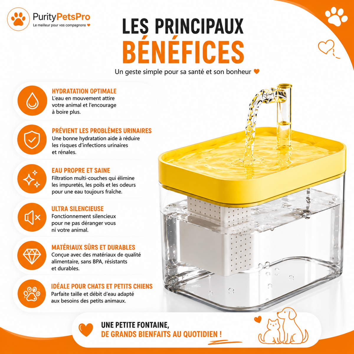 Fontaine à Eau Automatique pour Chats & Chiens | Ultra Silencieuse – Filtration Continue – 2L