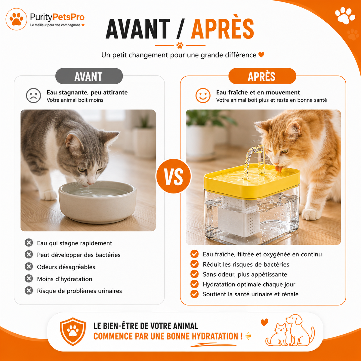 Fontaine à Eau Automatique pour Chats & Chiens | Ultra Silencieuse – Filtration Continue – 2L