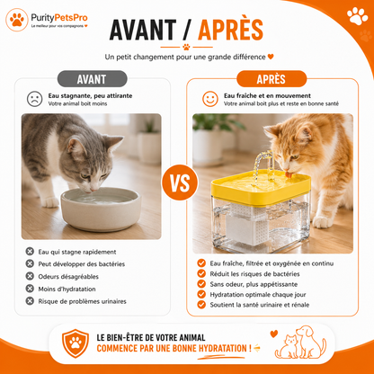 Fontaine à Eau Automatique pour Chats & Chiens | Ultra Silencieuse – Filtration Continue – 2L