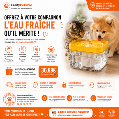 Fontaine à Eau Automatique pour Chats & Chiens | Ultra Silencieuse – Filtration Continue – 2L